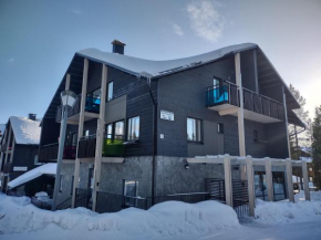 Levin Stara 2 Kittilä